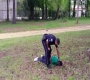Meurtre d’un homme noir par un policier blanc aux Etats-Unis : « Et s’il n’y avait pas eu de vidéo ? »