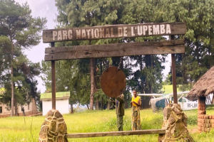 Parc national d'Upemba : un groupe armé prend d'assaut le quartier général de Lusinga