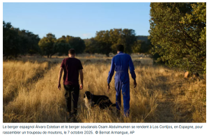 Pourquoi l'Espagne régularise 500 000 migrants sans papiers