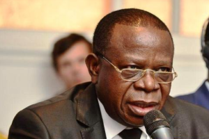 Face aux critiques, Bahati Lukwebo assume : on ne peut interdire de penser à la révision constitutionnelle