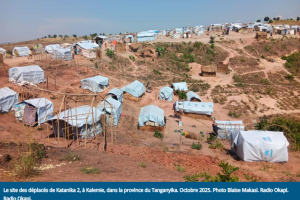 Environ 19 000 ménages de déplacés vivent dans des conditions alarmantes à Rutshuru